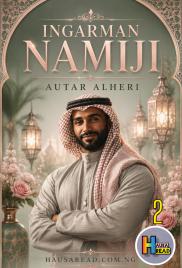 Ingarman Namiji Book 2 Yasmeen Autar Alheri