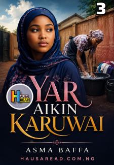 Cover of Yar Aikin Karuwa Book 3 Compleled 
