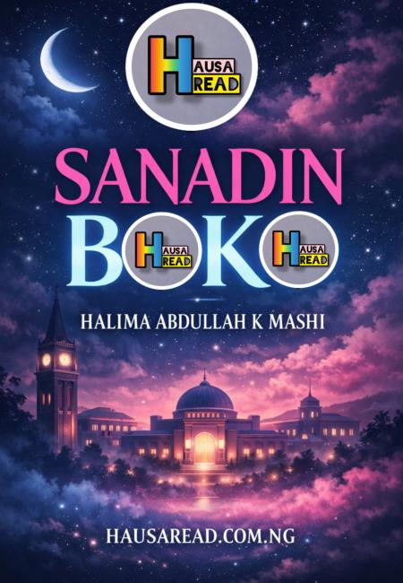 Sanadin Book 1 Compelet Hausa Novels by Halima Abdullahi K Mashi