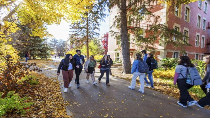 Complete Guide to Getting a Student Visa for Canada, USA, and the UK (London)