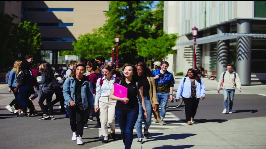 How to Apply for a Canada Student Visa in 2026: Complete Step-by-Step Guide for International Students